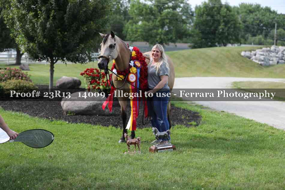 Proof Number 23R13_14009